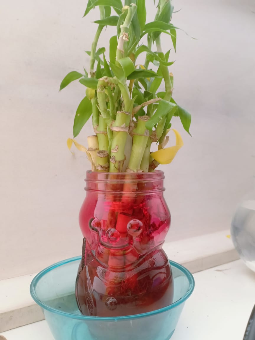 DESKTOP OR COMPUTER SERVICE CENTRE IN MANGALORE