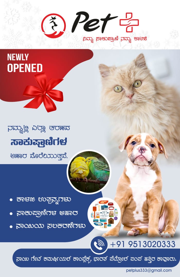 Pet+( Your Pet Our Care) In Mangalore Kavoor- Hello Mangaluru