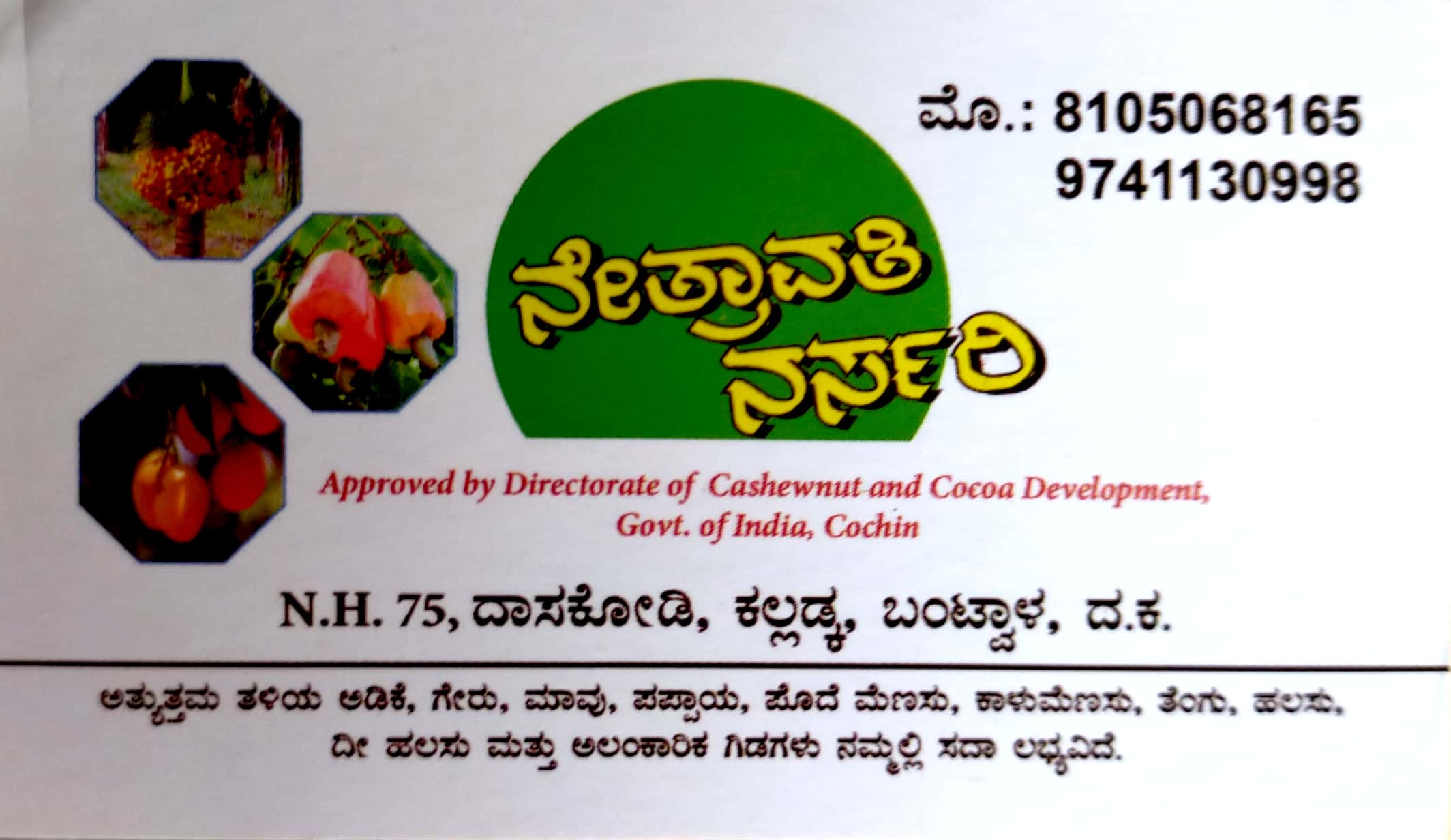 NETHRAVATHI  NURSERY
