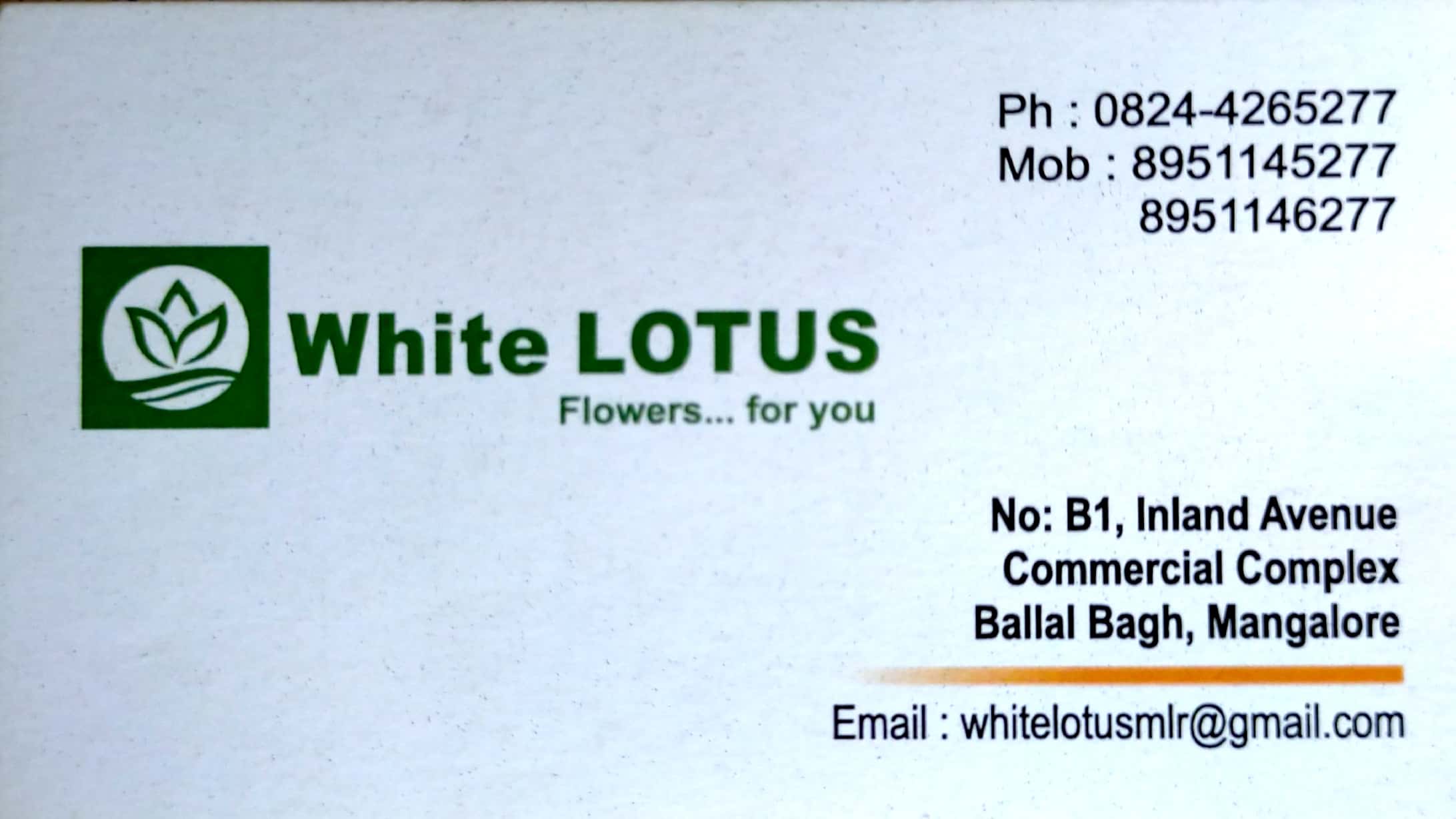 WHITE LOTUS