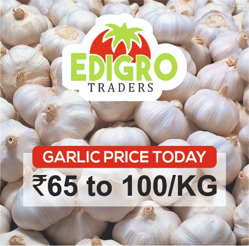 EDIGRO TRADERS
