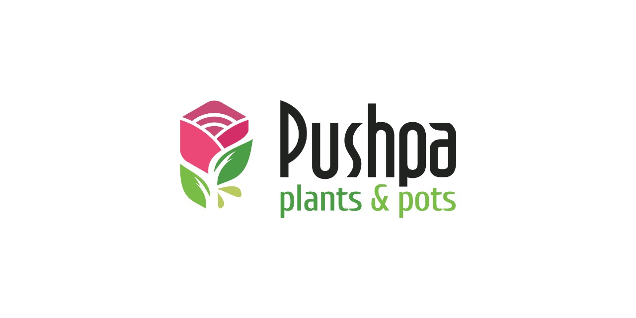 PUSHPA PLANTS-POTS