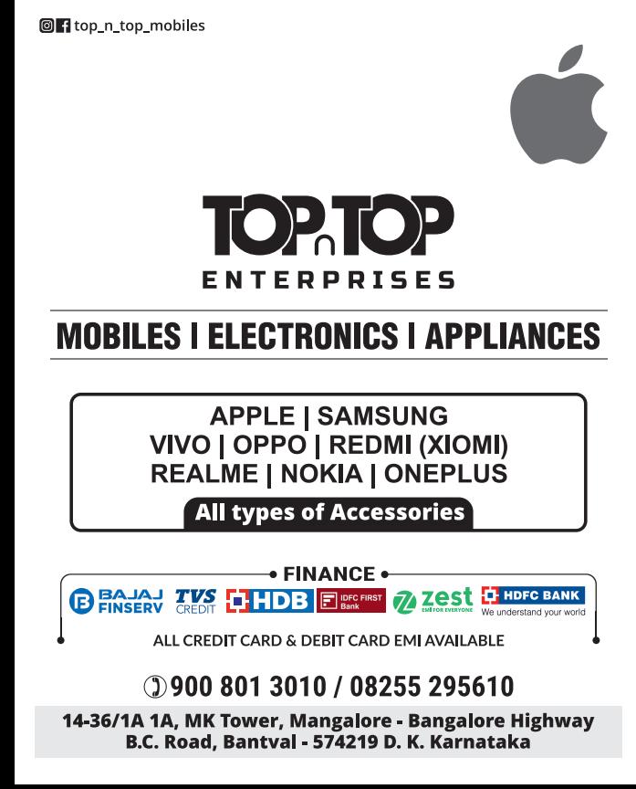 TOP N TOP ENTERPRISES