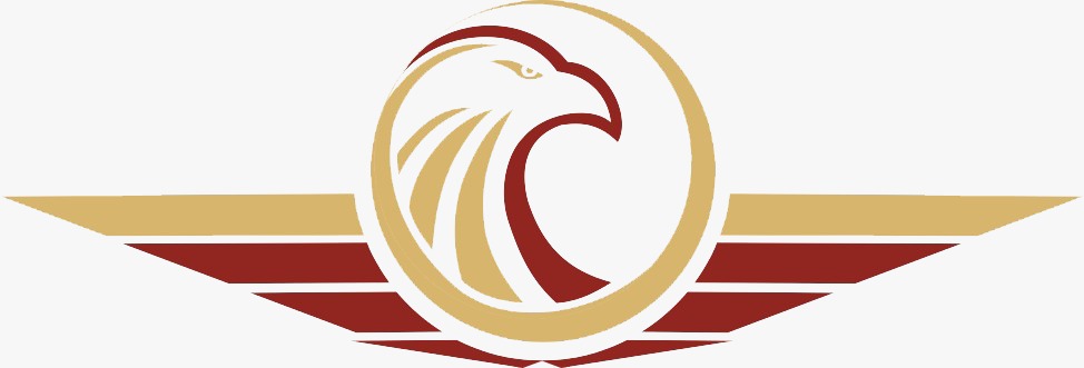 EAGLE ACADEMY & EDUCATIONAL CONSULTANCY