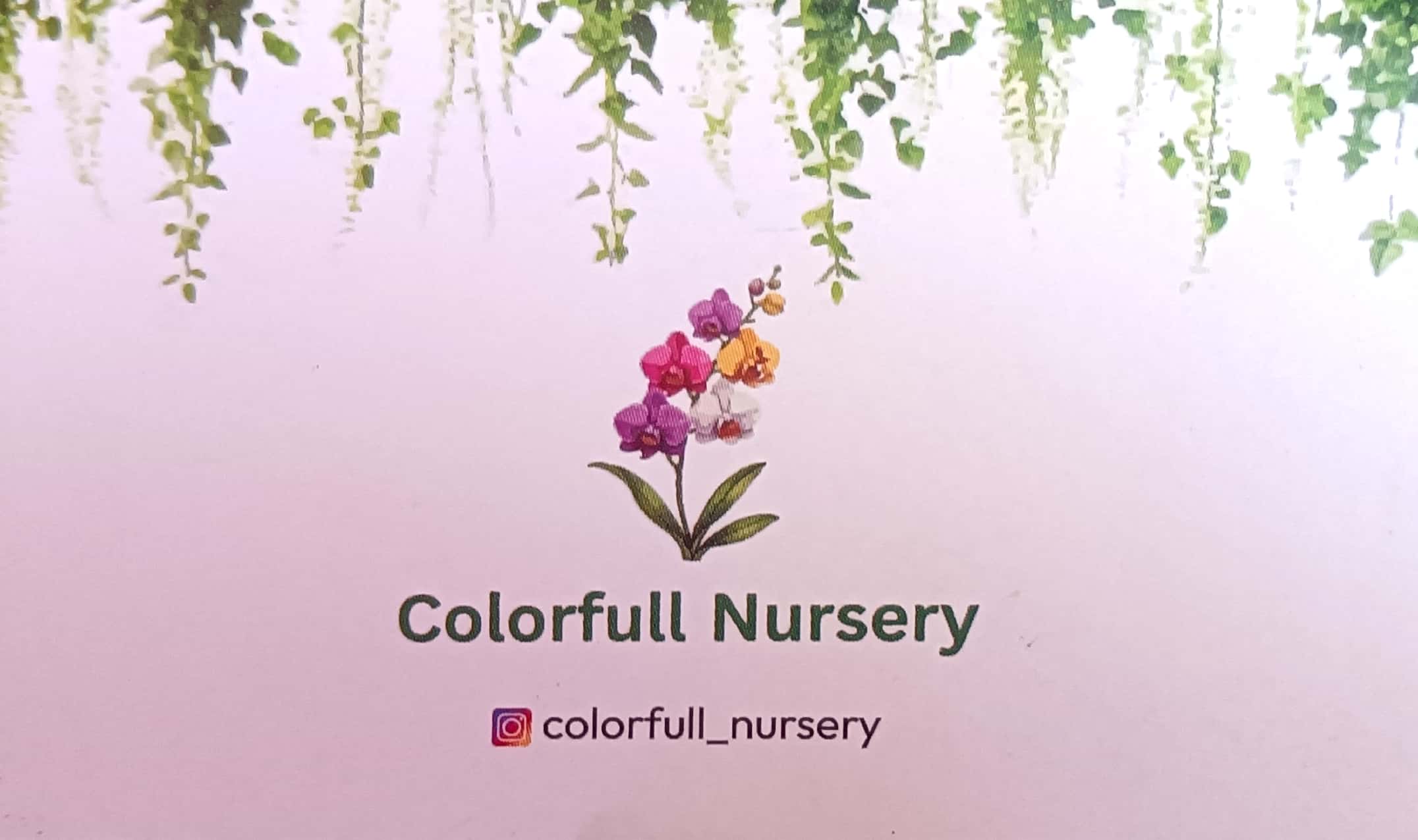 COLORFULL NURSERY