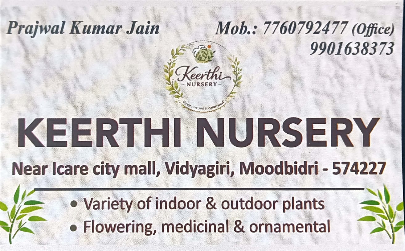 KEERTHI NURSERY